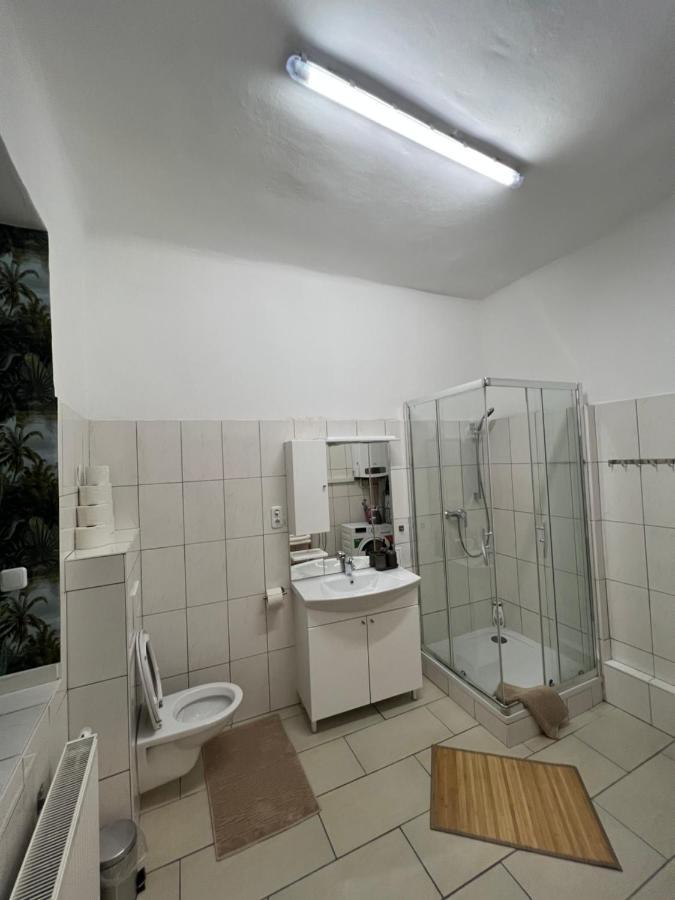 Spacious & Deluxe Big Apartment Near Prater Вена Экстерьер фото